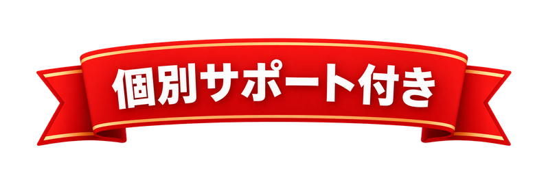 個別サポート付き